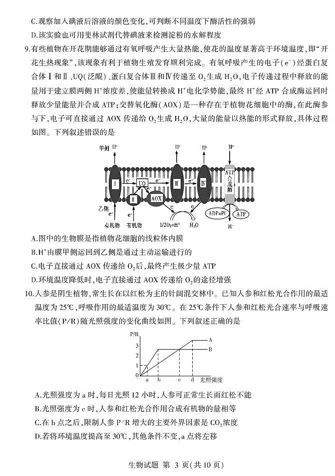 试题及答案第3页