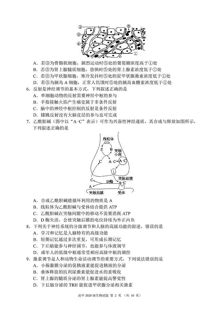2021-2022学年四川省成都市蓉城名校联盟高二上学期期末联考生物试题 PDF版02