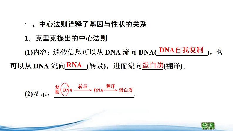 中心法则诠释了基因与生物性状的关系PPT课件免费下载03