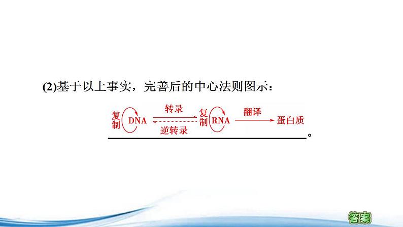 中心法则诠释了基因与生物性状的关系PPT课件免费下载05