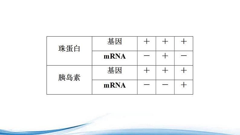 中心法则诠释了基因与生物性状的关系PPT课件免费下载08