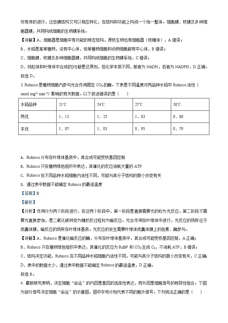 2020届山东省潍坊市高三二模生物试题02