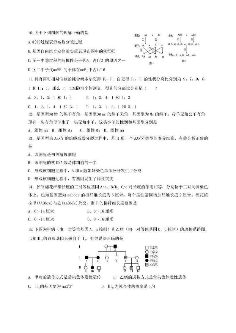 乌鲁木齐2020届高三生物一模模拟试题03