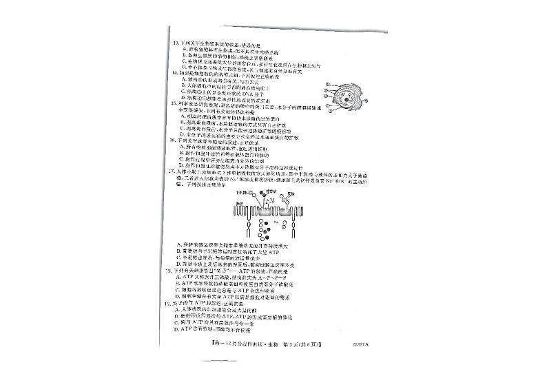 山西省名校2021-2022学年高一上学期12月阶段性测试生物试题第3页