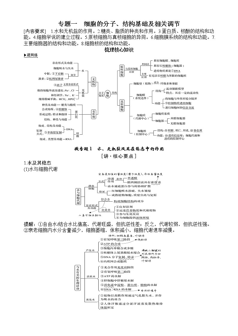 2022最新版高中生物必修一、二、三知识网络图第1页