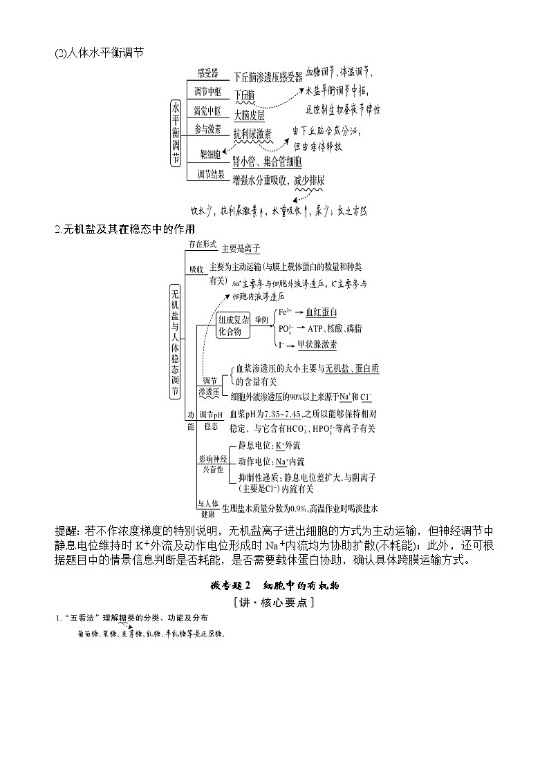2022最新版高中生物必修一、二、三知识网络图第2页