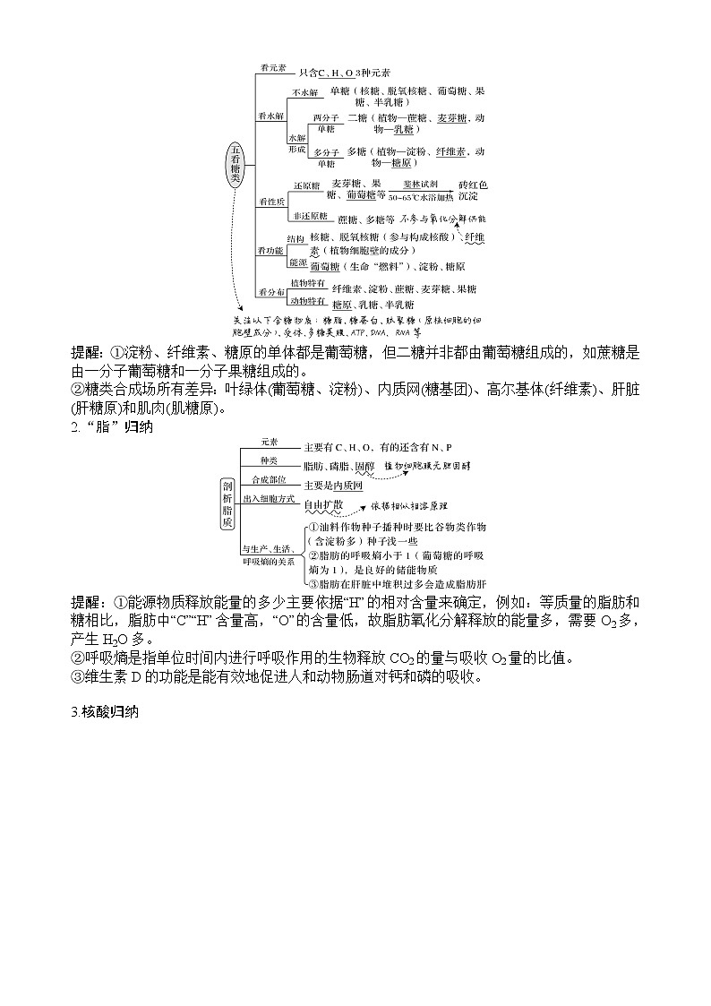 2022最新版高中生物必修一、二、三知识网络图第3页