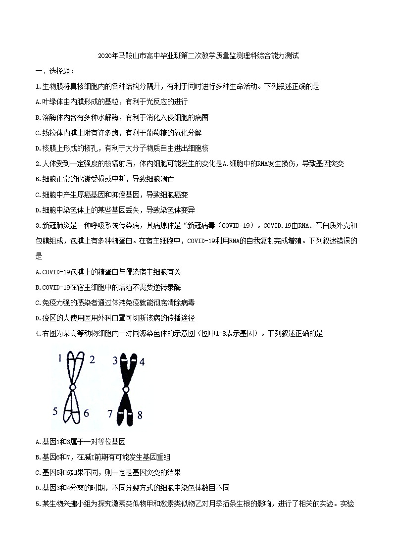 安徽省马鞍山市2020届高三第二次教学质量检测生物试题 Word版含答案01