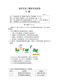 北京市延庆区2021届高三第一次模拟考试生物试题 Word版含答案