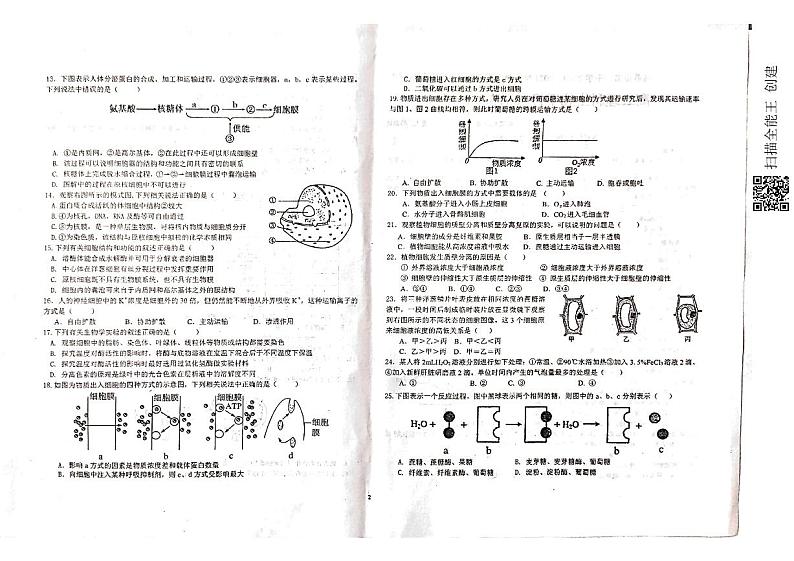 新疆乌苏市第一中学2021-2022学年高二12月月考试题生物PDF版无答案02