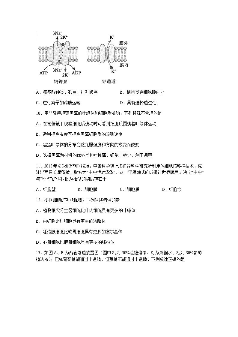 山东省临沂市兰陵县2021-2022学年高一上学期期中考试生物试题含答案第3页