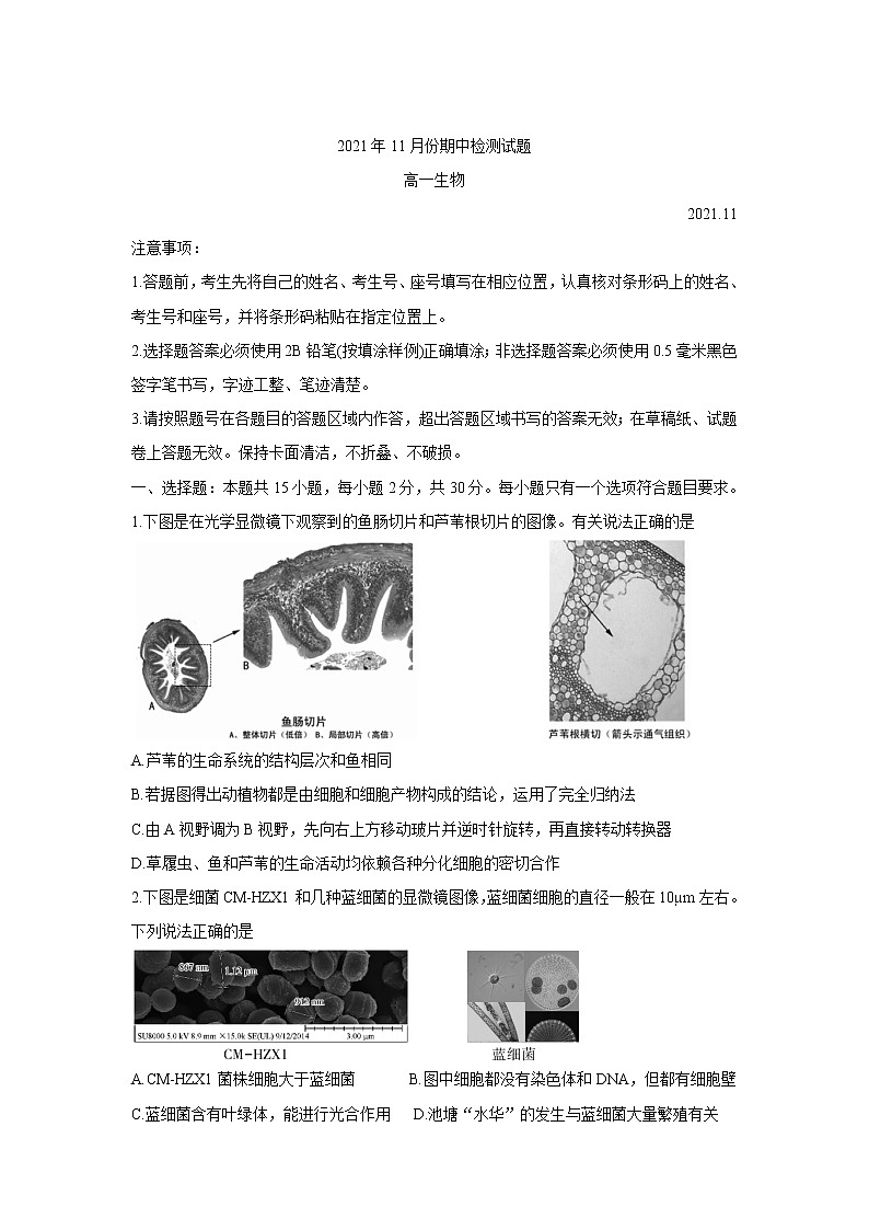 山东省潍坊（安丘市、诸城市、高密市）2021-2022学年高一上学期期中考试生物含答案01