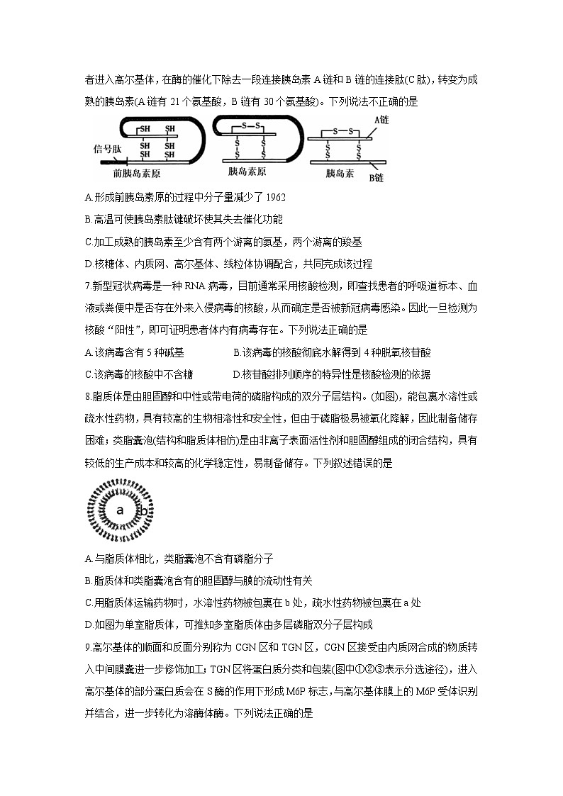 山东省潍坊（安丘市、诸城市、高密市）2021-2022学年高一上学期期中考试生物含答案03
