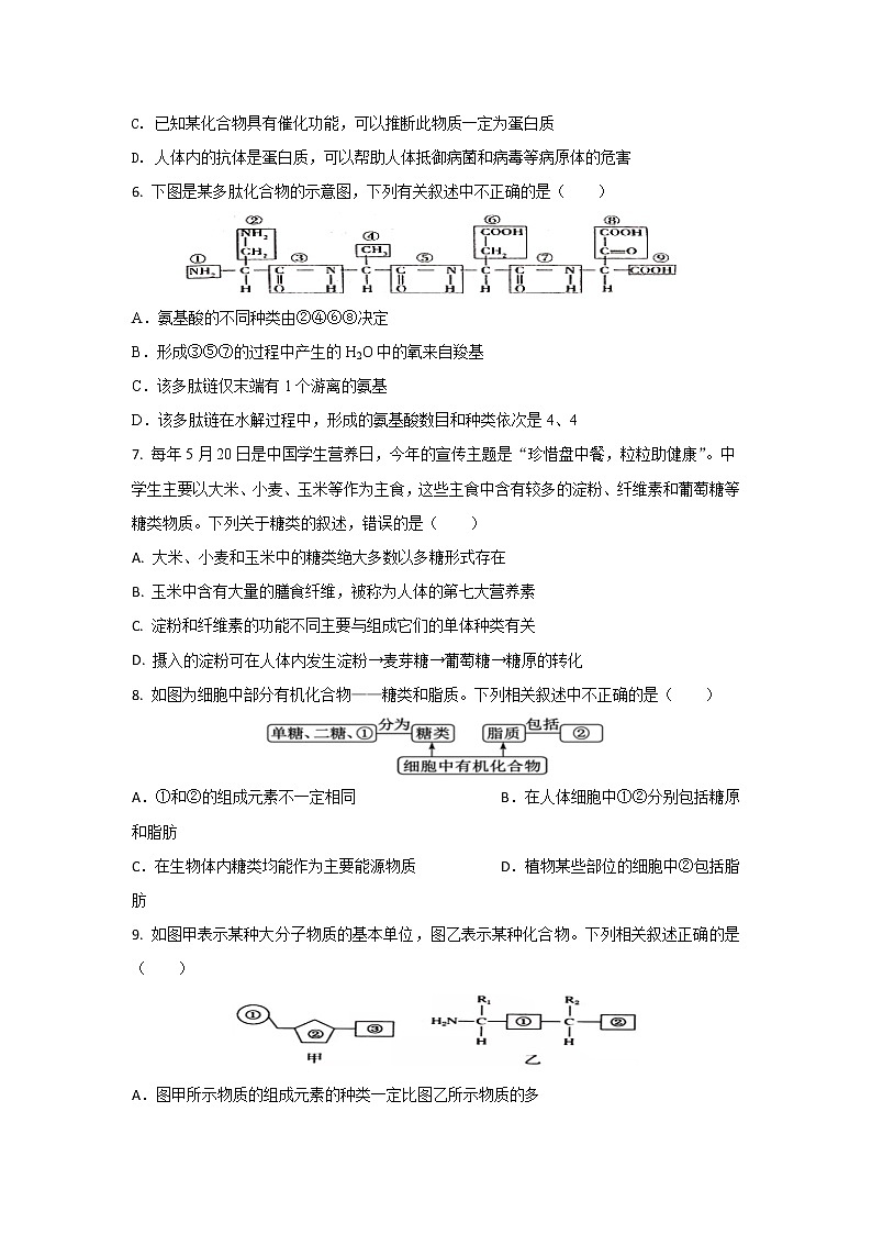 内蒙古霍林郭勒市第一中学2021-2022学年高一上学期12月月考试题生物含答案02