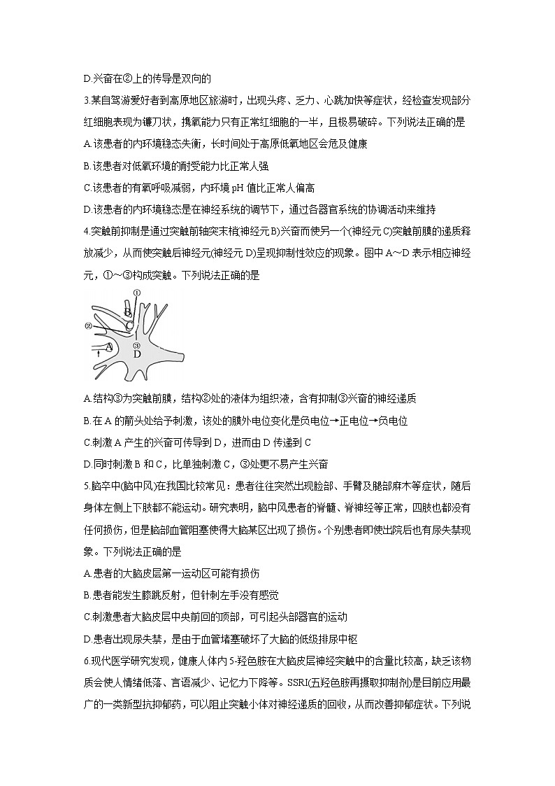 山东省潍坊（安丘市、诸城市、高密市）2021-2022学年高二上学期期中考试生物含答案02