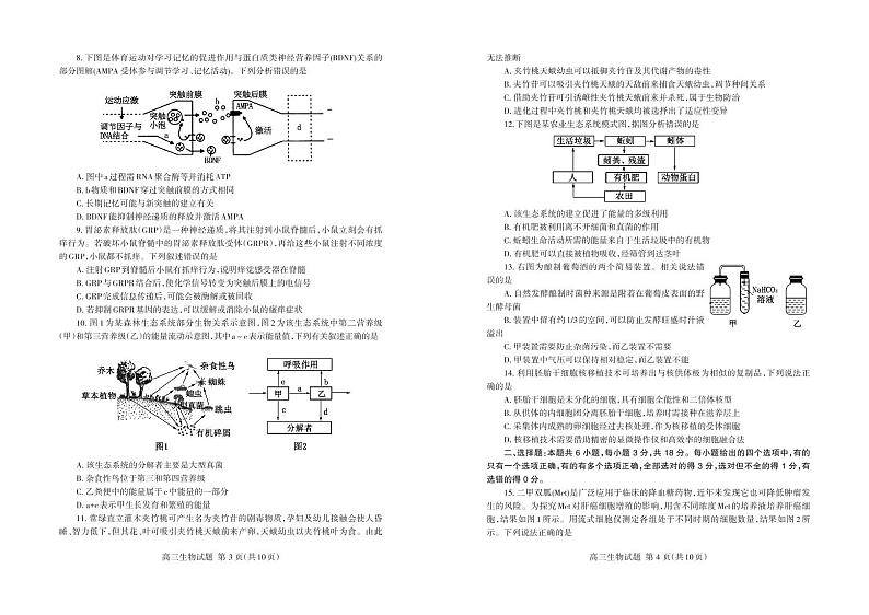 重庆市万州龙驹中学2020届高三一轮检测生物试卷 PDF版含答案第2页