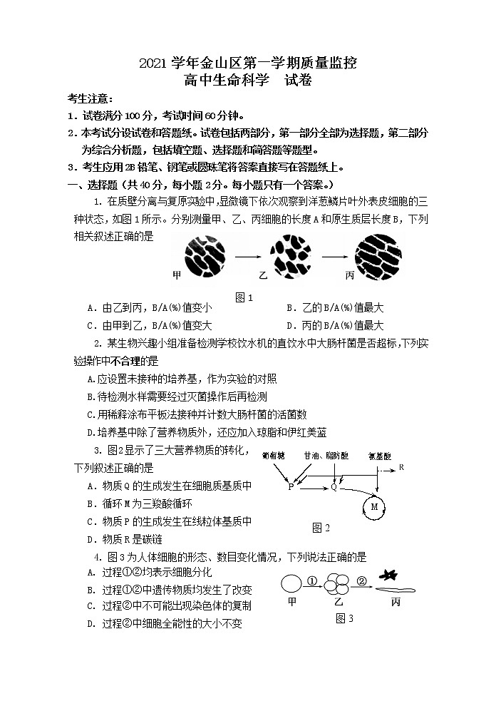2022届上海金山区高三(高二)生物一模卷01