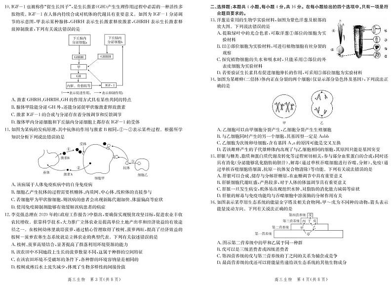 2021届河北省邯郸市高三上学期期末考试生物试题 PDF版02