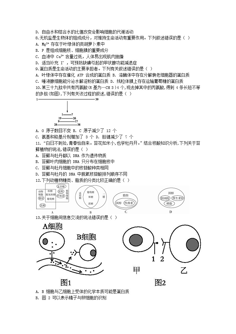 黑龙江省哈尔滨市第六中学2021-2022学年高一上学期期末考试生物试题（Word版含答案）02