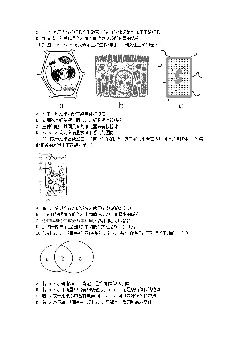 黑龙江省哈尔滨市第六中学2021-2022学年高一上学期期末考试生物试题（Word版含答案）03