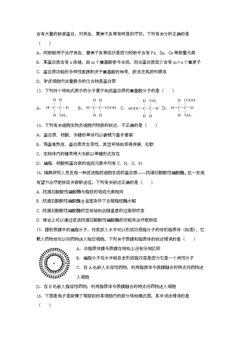 黑龙江省鹤岗市第一中学2021-2022学年高一上学期期末考试生物试题含答案03
