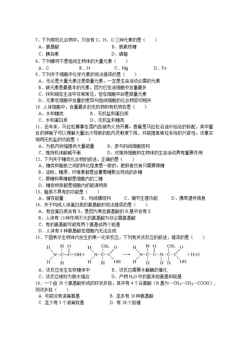 广东省佛山市第一中学2021-2022学年高一上学期期中考试生物含答案02