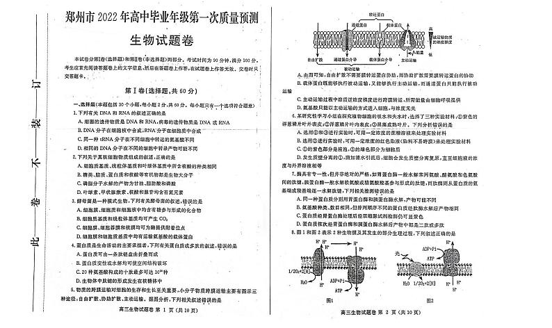 2022年郑州高三一模生物试卷及答案01