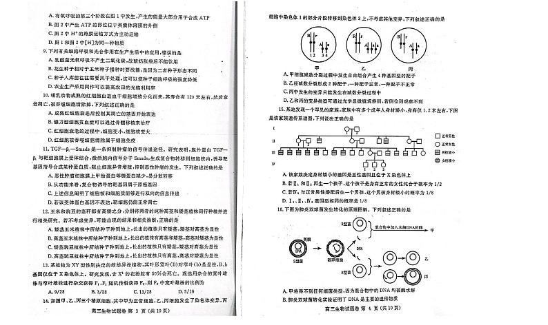 2022年郑州高三一模生物试卷及答案02