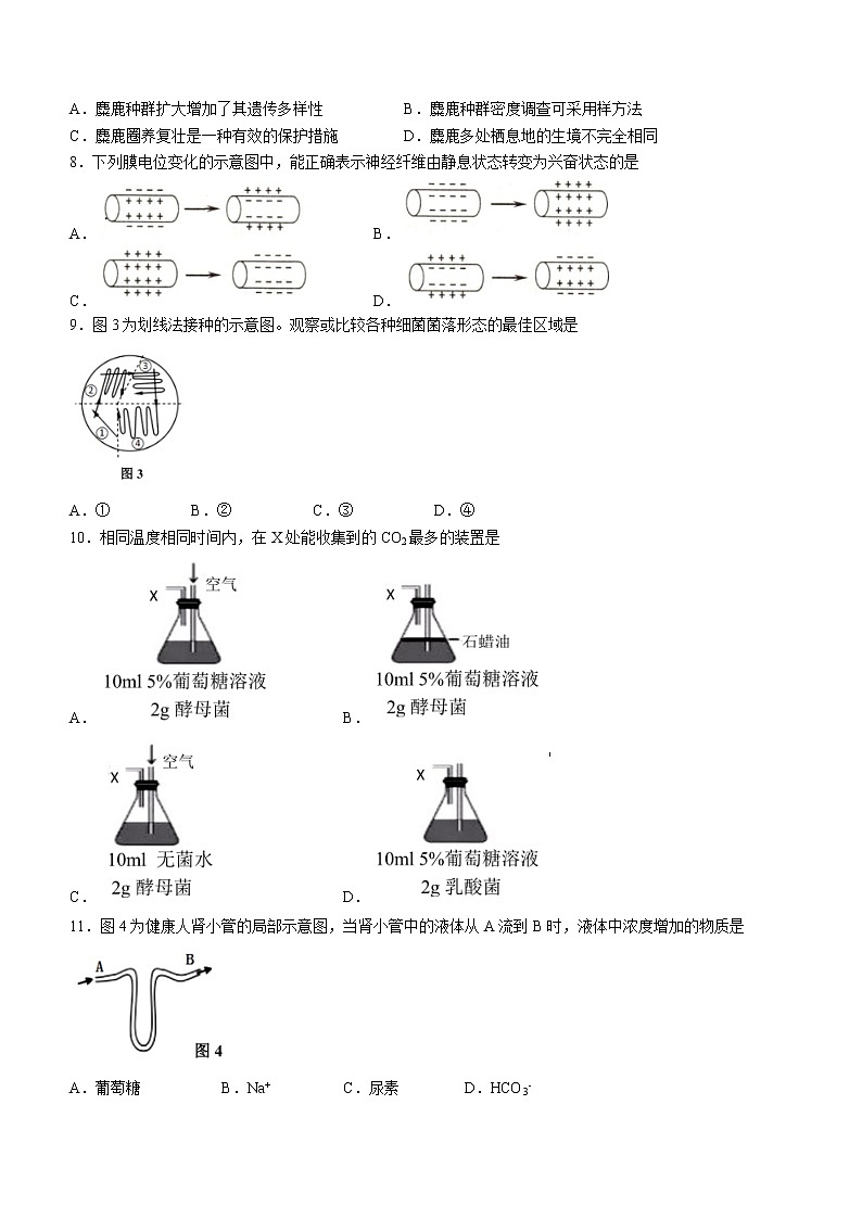 2022届上海市长宁区高三一模生物试题及答案02