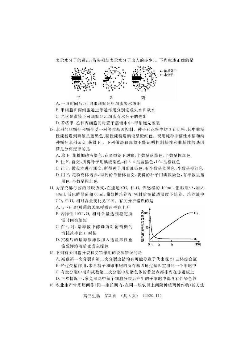 河南省洛阳市2021届高三上学期第一次统一考试（一模）生物试题+含答案03