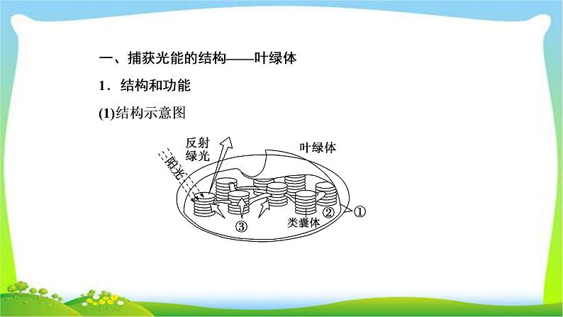 人教版高考生物总复习3.3能量之源—光与光合作用完美课件PPT第4页