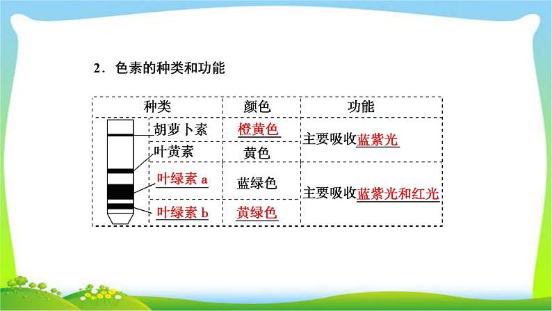 人教版高考生物总复习3.3能量之源—光与光合作用完美课件PPT第7页