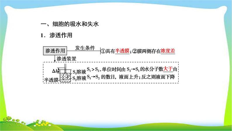 人教版高考生物总复习2.3细胞的物质输入和输出完美课件PPT第4页