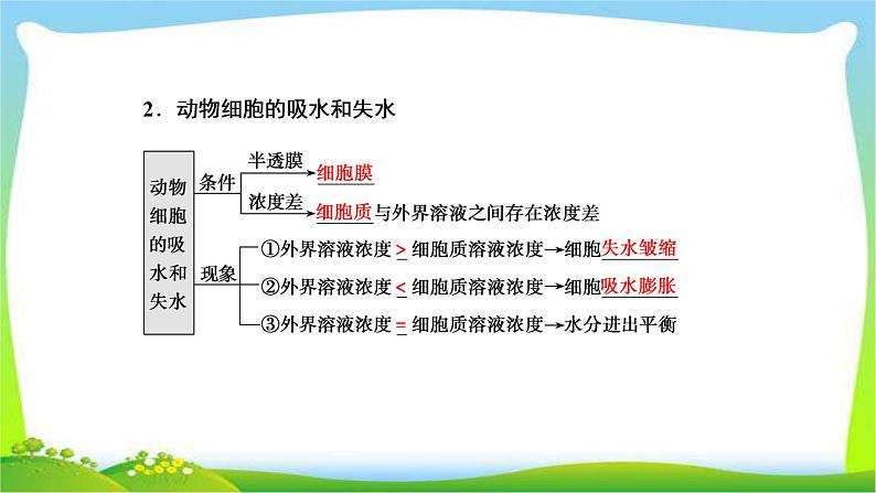 人教版高考生物总复习2.3细胞的物质输入和输出完美课件PPT第5页