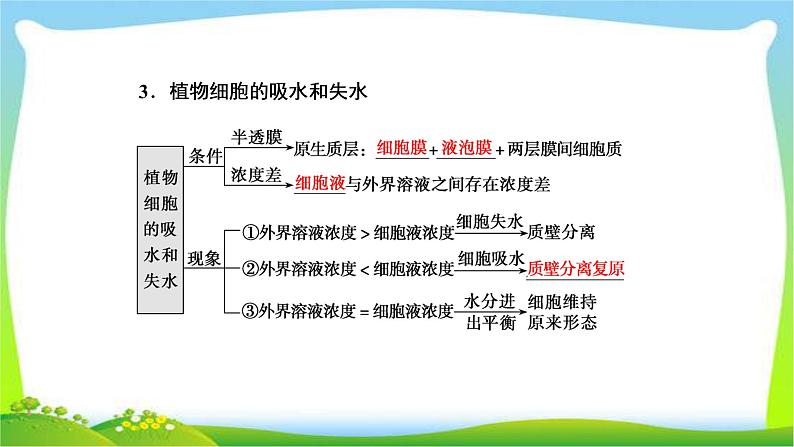 人教版高考生物总复习2.3细胞的物质输入和输出完美课件PPT第6页