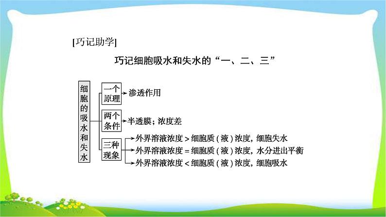 人教版高考生物总复习2.3细胞的物质输入和输出完美课件PPT第7页