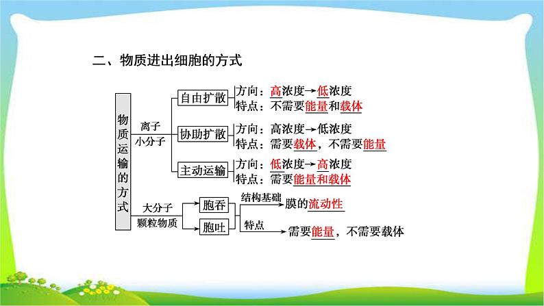 人教版高考生物总复习2.3细胞的物质输入和输出完美课件PPT第8页