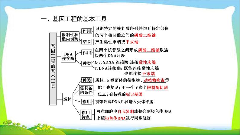 人教版高考生物总复习11.1基因工程完美课件PPT第4页