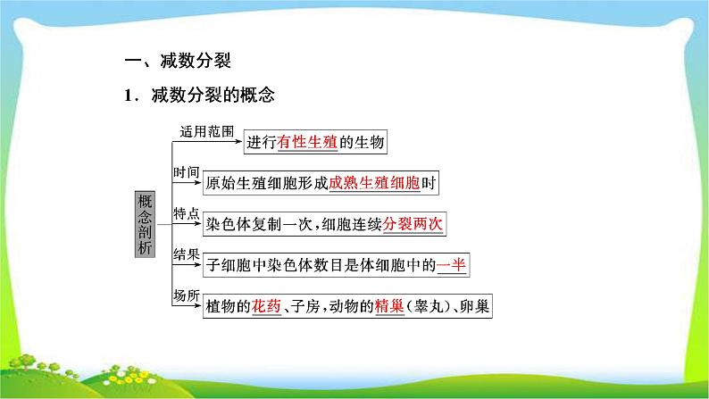 人教版高考生物总复习4.2减数分裂和受精作用完美课件PPT第4页