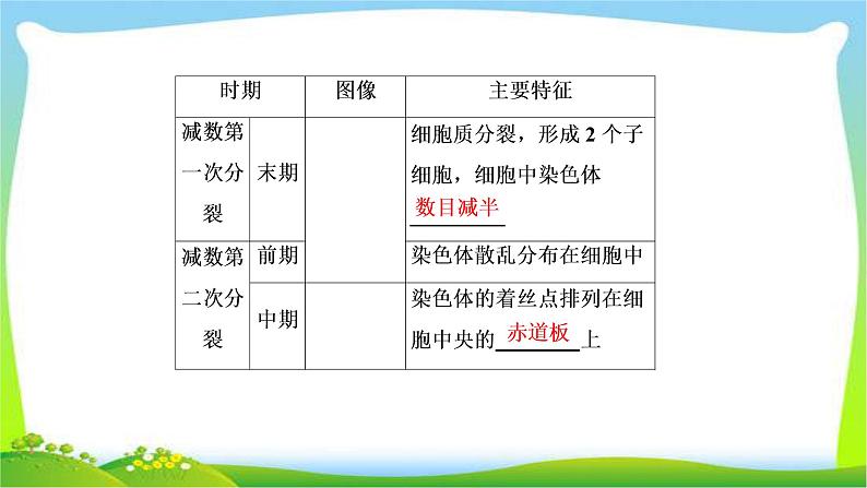 人教版高考生物总复习4.2减数分裂和受精作用完美课件PPT第7页