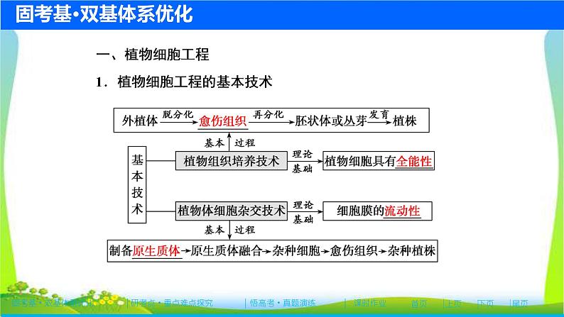 人教版高考生物总复习11.2细胞工程完美课件PPT第4页