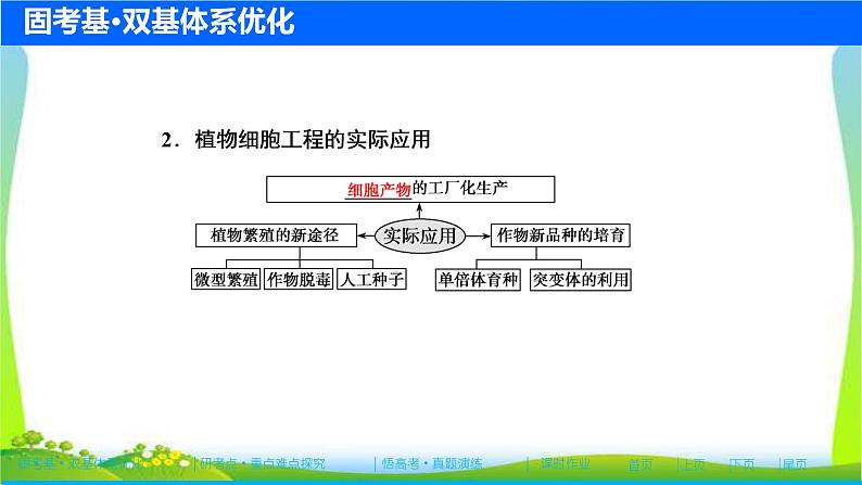 人教版高考生物总复习11.2细胞工程完美课件PPT第5页