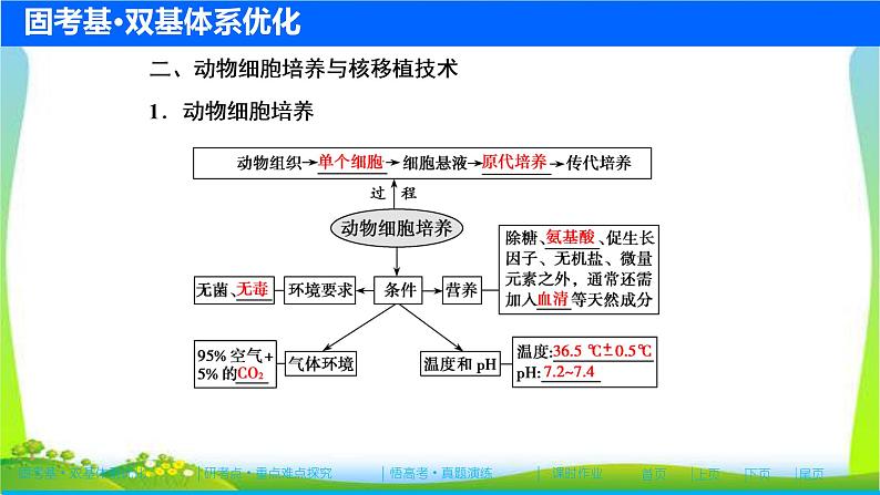 人教版高考生物总复习11.2细胞工程完美课件PPT第6页