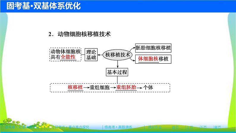 人教版高考生物总复习11.2细胞工程完美课件PPT第7页