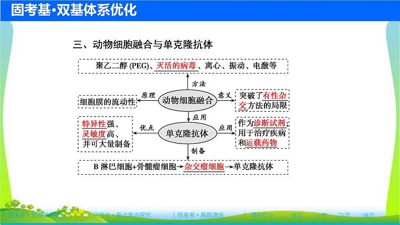 人教版高考生物总复习11.2细胞工程完美课件PPT第8页