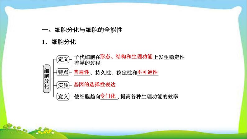 人教版高考生物总复习4.3细胞的分化、衰老、凋亡和癌变完美课件PPT04