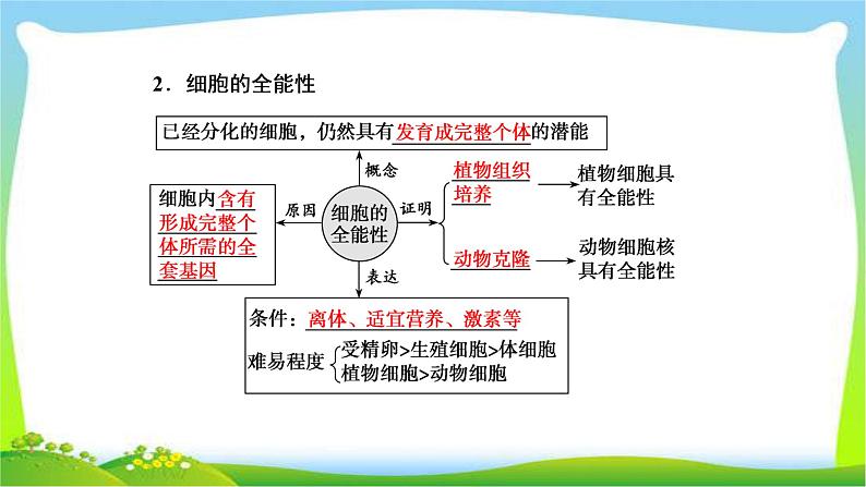 人教版高考生物总复习4.3细胞的分化、衰老、凋亡和癌变完美课件PPT05