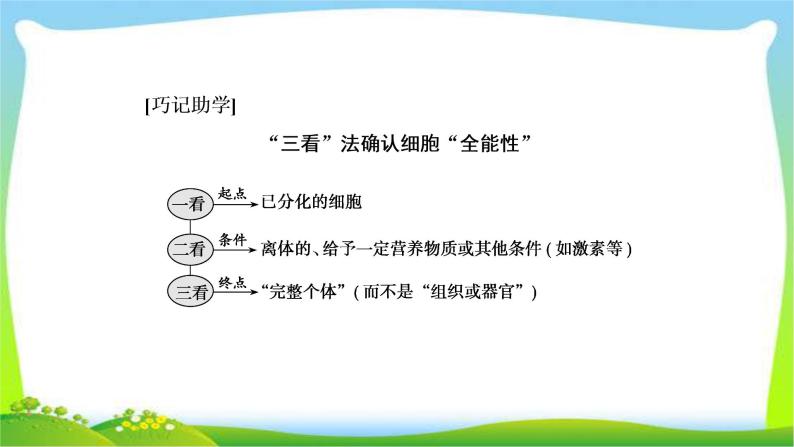 人教版高考生物总复习4.3细胞的分化、衰老、凋亡和癌变完美课件PPT06