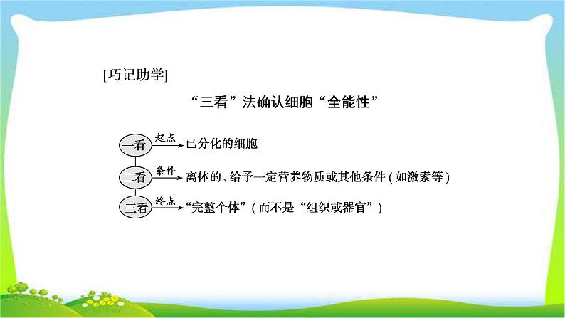 人教版高考生物总复习4.3细胞的分化、衰老、凋亡和癌变完美课件PPT06