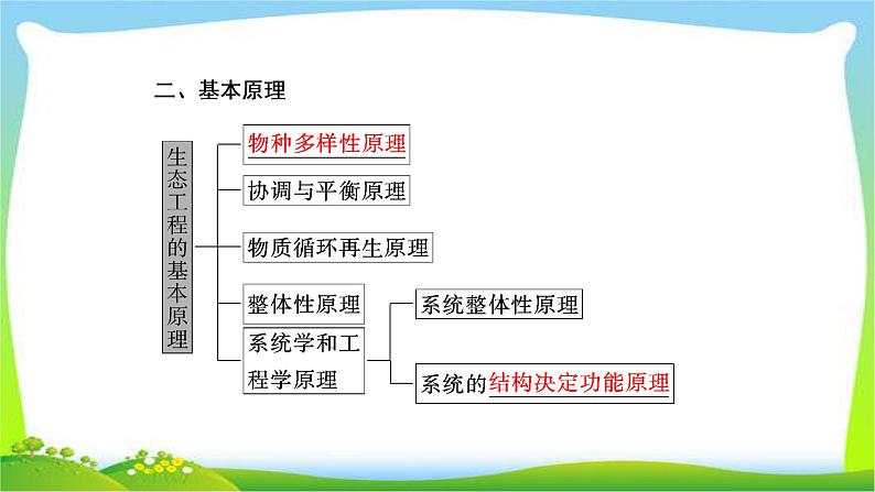 人教版高考生物总复习11.4生态工程完美课件PPT第6页